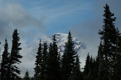 DSC_0024-1