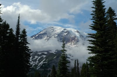 DSC_0031-1
