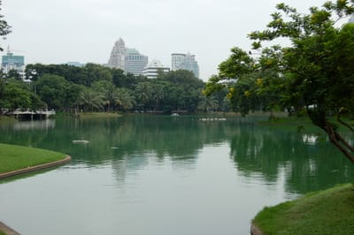 DSC_00480131