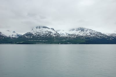 DSC_0071
