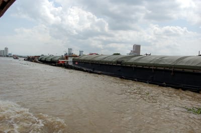 DSC_01150082
