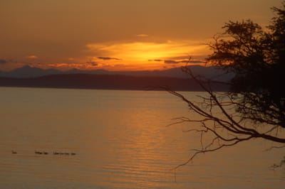 DSC_0134-1
