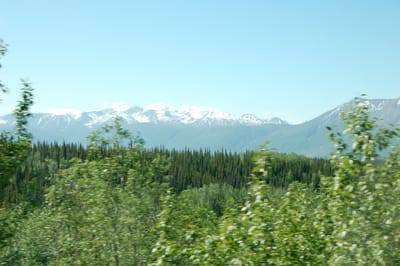 DSC_0160