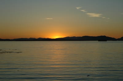 DSC_0201