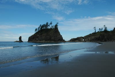 DSC_0376
