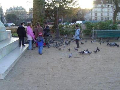 DSC04044