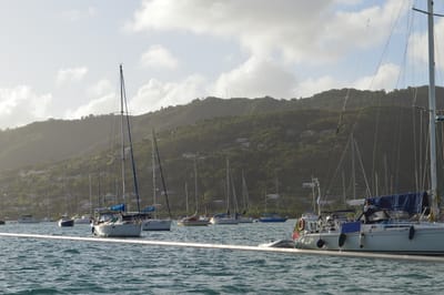 DSC_0111