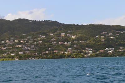 DSC_0118