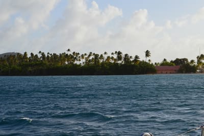 DSC_0119