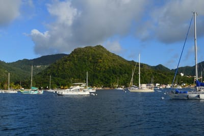 DSC_0210