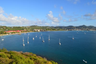 DSC_0272