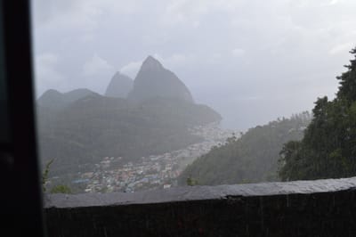 DSC_0393