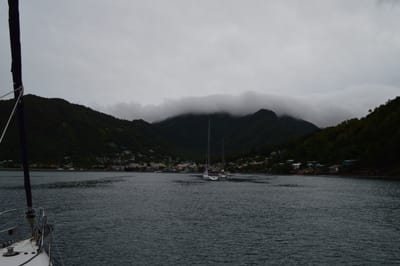 DSC_0425