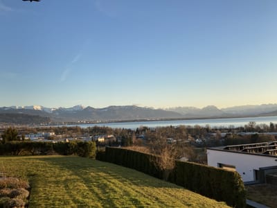 IMG_0388
