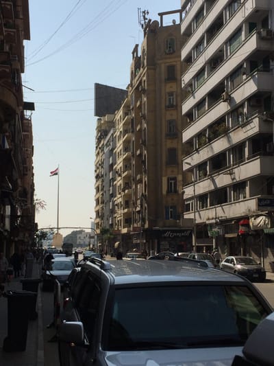 IMG_4556