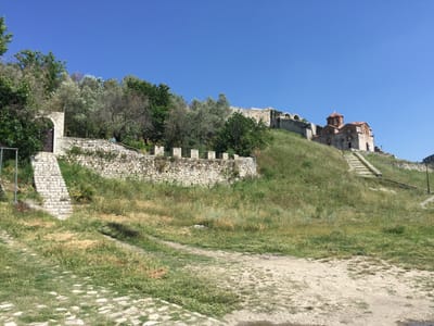 IMG_5230