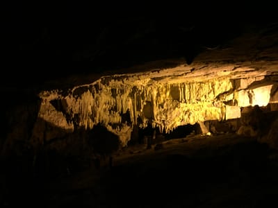 IMG_5361