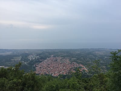 IMG_5376