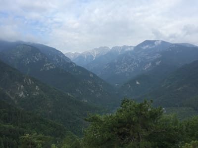 IMG_5378