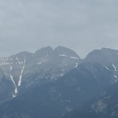 IMG_5379
