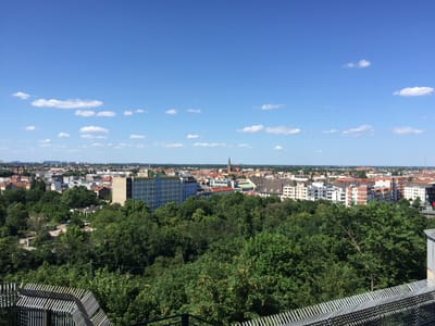 IMG_3552