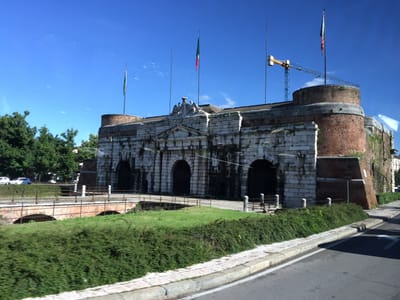 IMG_3792
