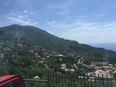 IMG_3853