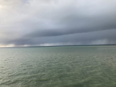66619708970__6D564D79-365F-4131-AD10-490807B0858F