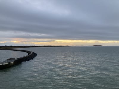 IMG_0230