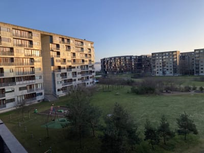 IMG_0242