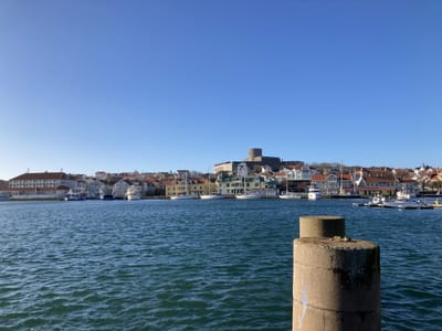 IMG_0290