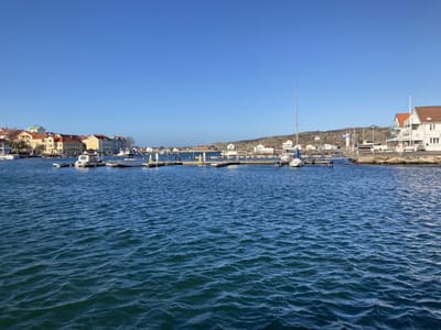 IMG_0293