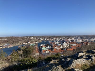 IMG_0299