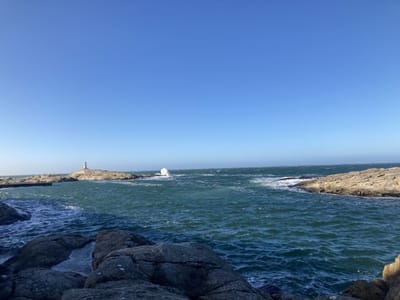 IMG_0311