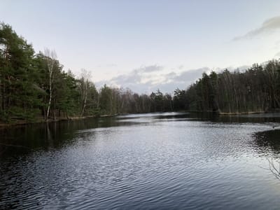 IMG_0358