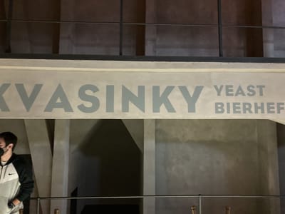 IMG_9456