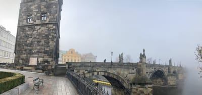 IMG_9505
