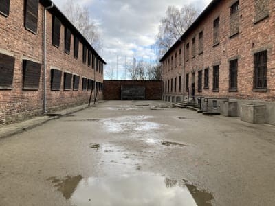 IMG_9967